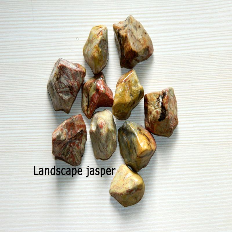 Portfolio Image