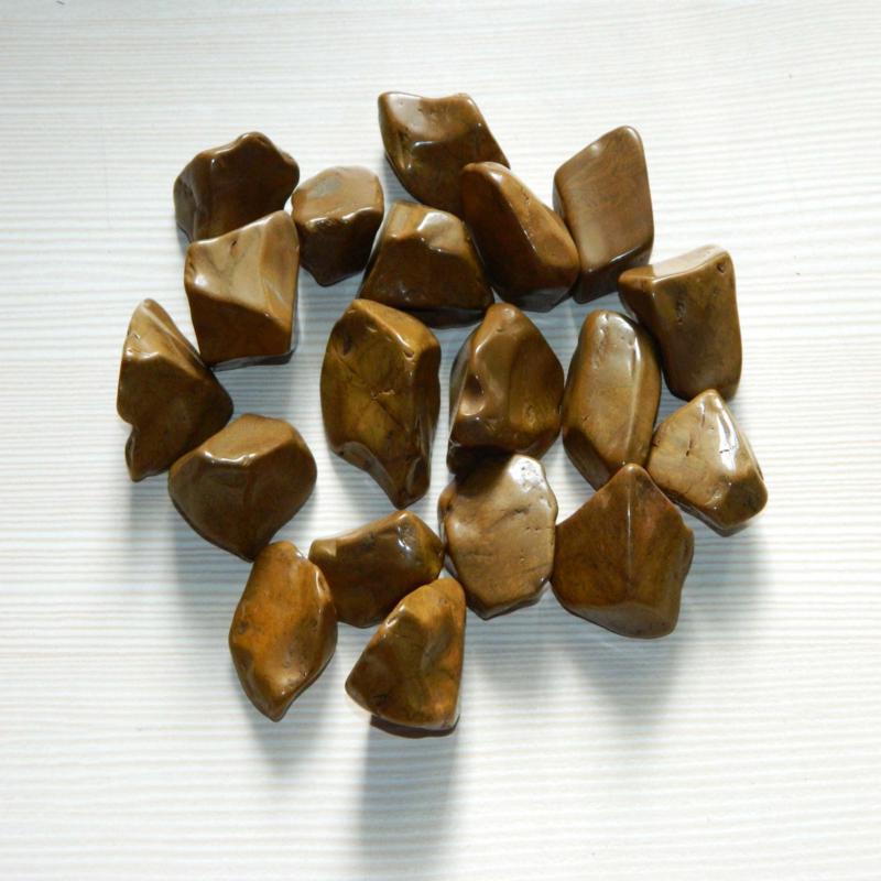 Portfolio Image