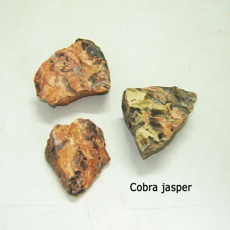 Portfolio Image